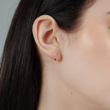 Brett Cubic Earrings