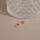 Gia Hook Earrings