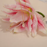 Willa Pearl Necklace