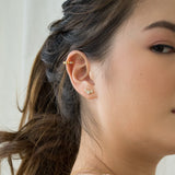 Zinnia Flower Studs