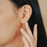 Teardrop Hook Earrings